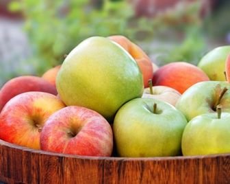 В России принят новый закон, регулирующий производство эко-продуктов