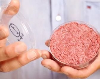 Мясо из пробирки появится на рынке в 2021 году