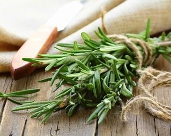 Съедобные елки из розмарина набирают популярность