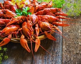 В Сызрани состоится фестиваль «Рыба-Раки»