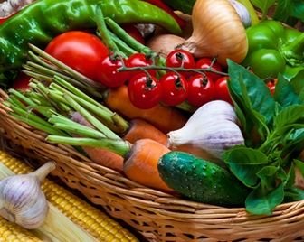 Ученые из Томска научились выращивать сельхозкультуры в Арктике