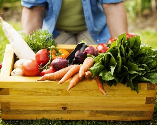 Мировой рынок органических продуктов достигнет 324 миллиардов долларов к 2024 году