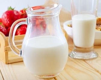 Тараканье молоко может стать новым суперпродуктом