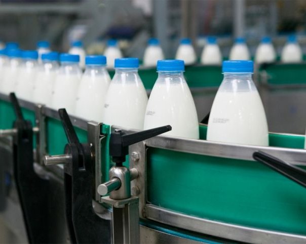 Продукты с заменителями молочных жиров начнут маркировать