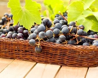 Грузия собирается культивировать виноград на Марсе